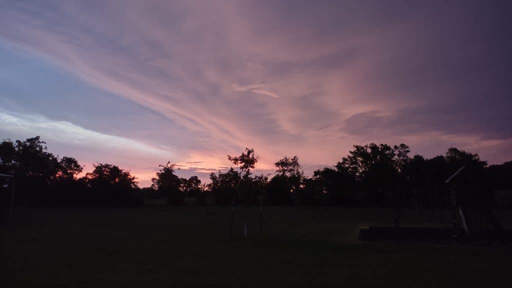 hatman homestead skyline
