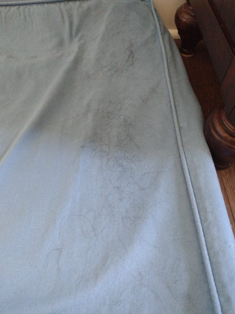 blue dog bed with hair - the before picture