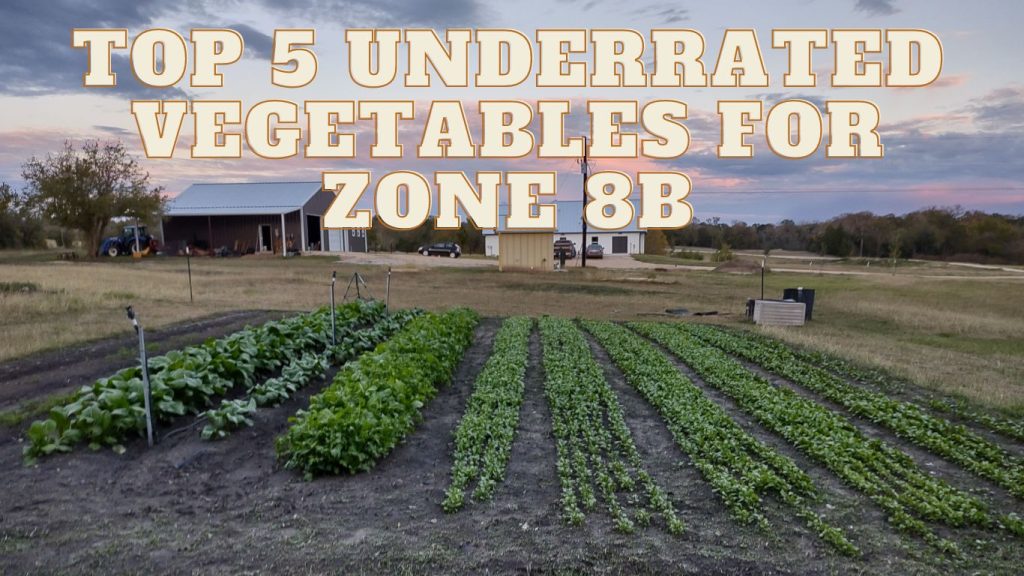 Top 5 Fall Veggies for 8B