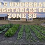 Top 5 Fall Veggies for 8B